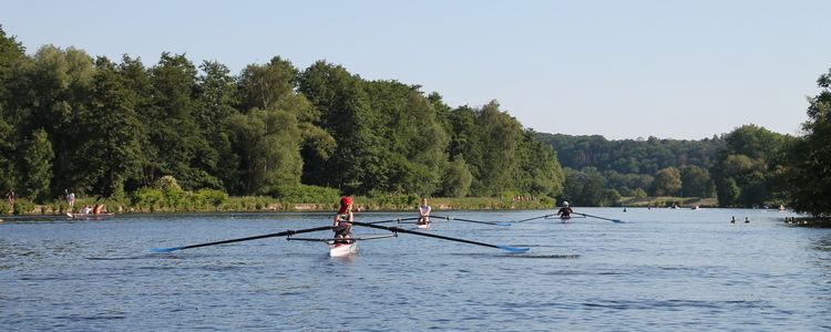 Rudern auf der Ruhr